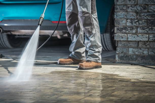 Best Spring Cleaning  in Maywood, CA