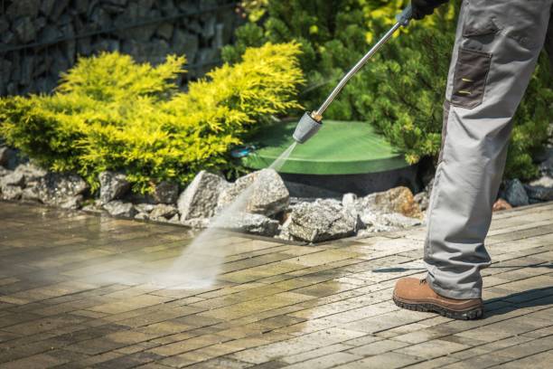 Best Dumpster Area Cleaning  in Maywood, CA